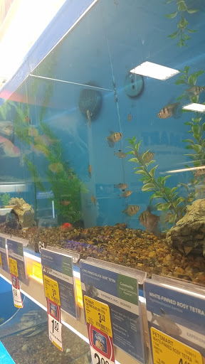 Pet Supply Store «PetSmart», reviews and photos, 7850 W Commercial Blvd, Lauderhill, FL 33351, USA