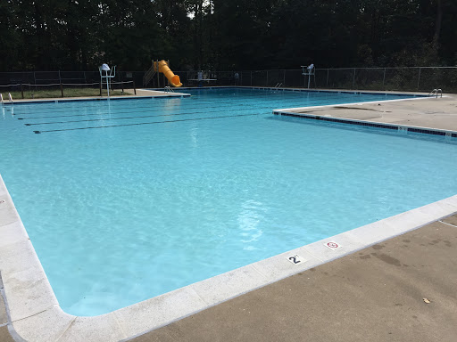 Dolphin Pool Services, LLC