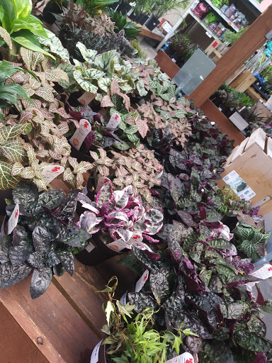 Home Improvement Store «The Home Depot», reviews and photos, 800 Truse Rd, Memphis, TN 38117, USA