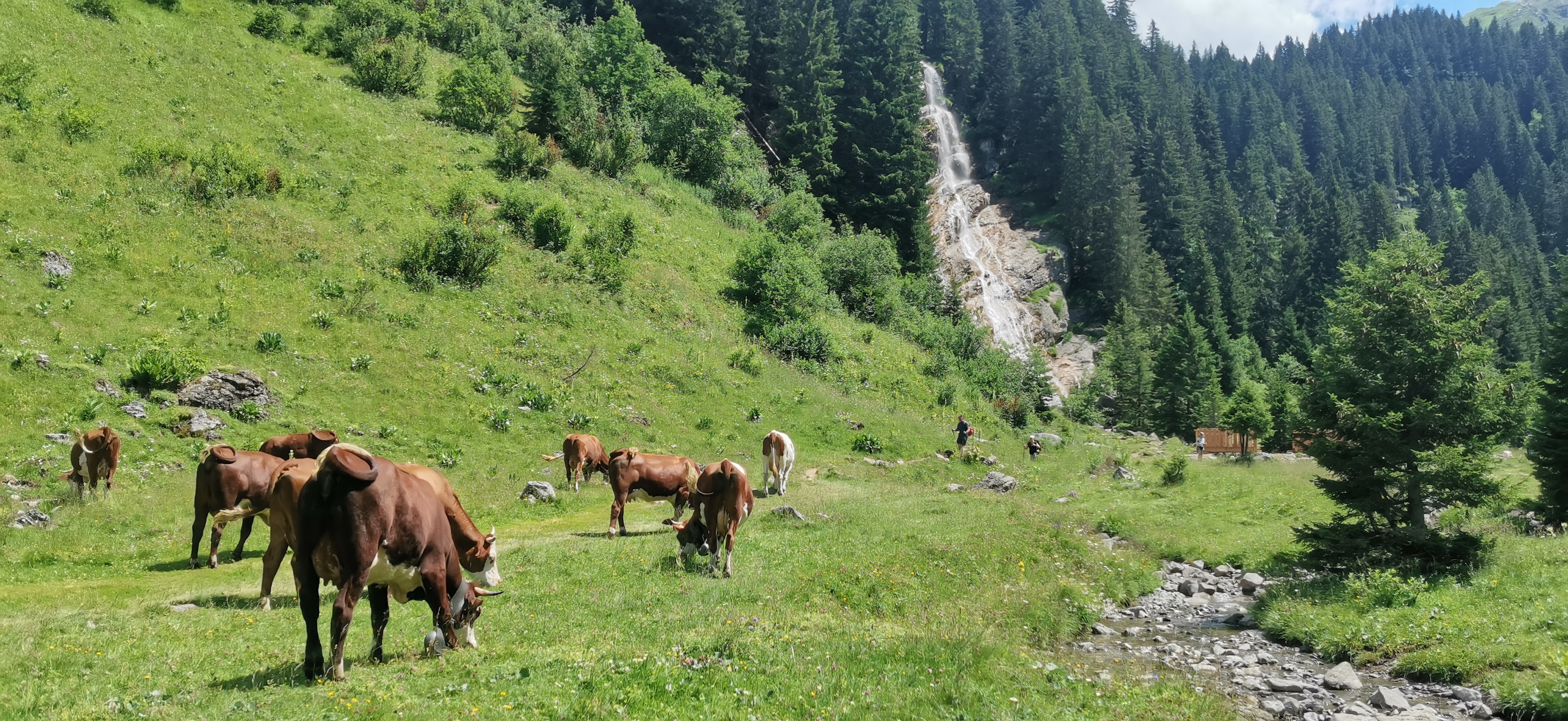 Photo n° 2 de l'avis de Pasha. fait le 07/07/2022 à 17:11