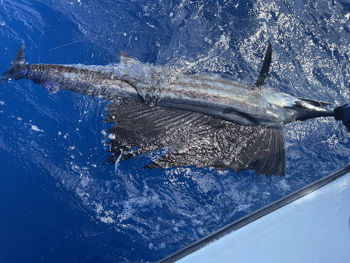 Boat Rental Service «Miami Fishing Charters, LLC», reviews and photos, 3400 Pan American Dr, Miami, FL 33133, USA