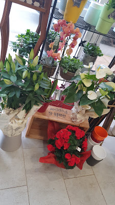 Emilie fleurs à Sainte-Geneviève