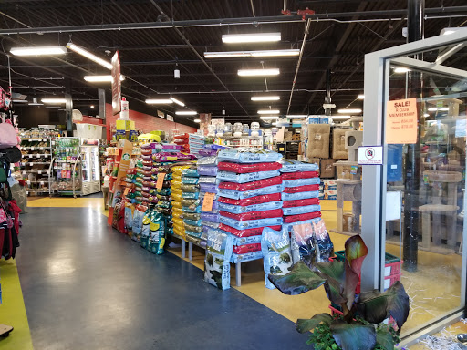 Pet Store «All Pets Club», reviews and photos, 1167 N Colony Rd, Wallingford, CT 06492, USA