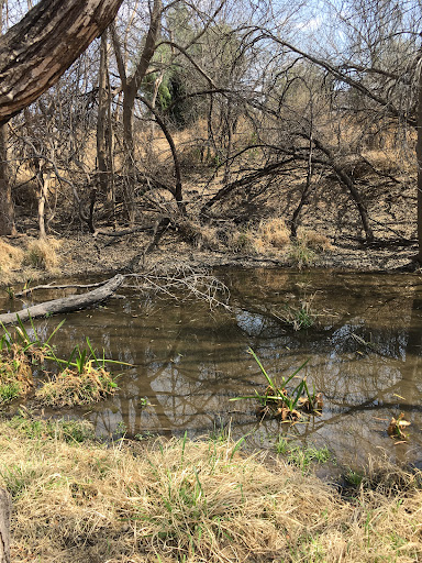 Paso del Indio Nature Trail