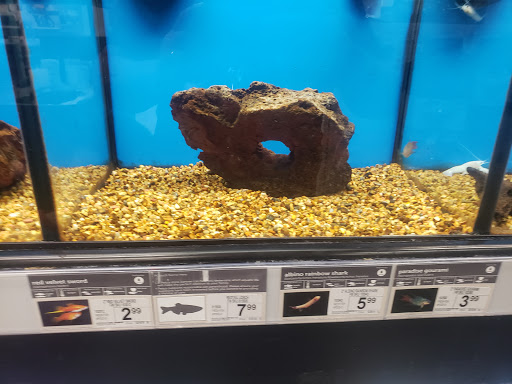 Pet Supply Store «Petco Animal Supplies», reviews and photos, 6761 Westminster Ave, Westminster, CA 92683, USA