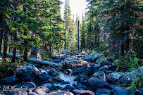 LambCo Photography - Photo 4 - Car repair in , Arvada