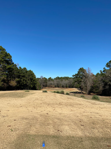 Golf Course «Pine Dunes Golf Course», reviews and photos, 159 Private Rd 7019, Frankston, TX 75763, USA