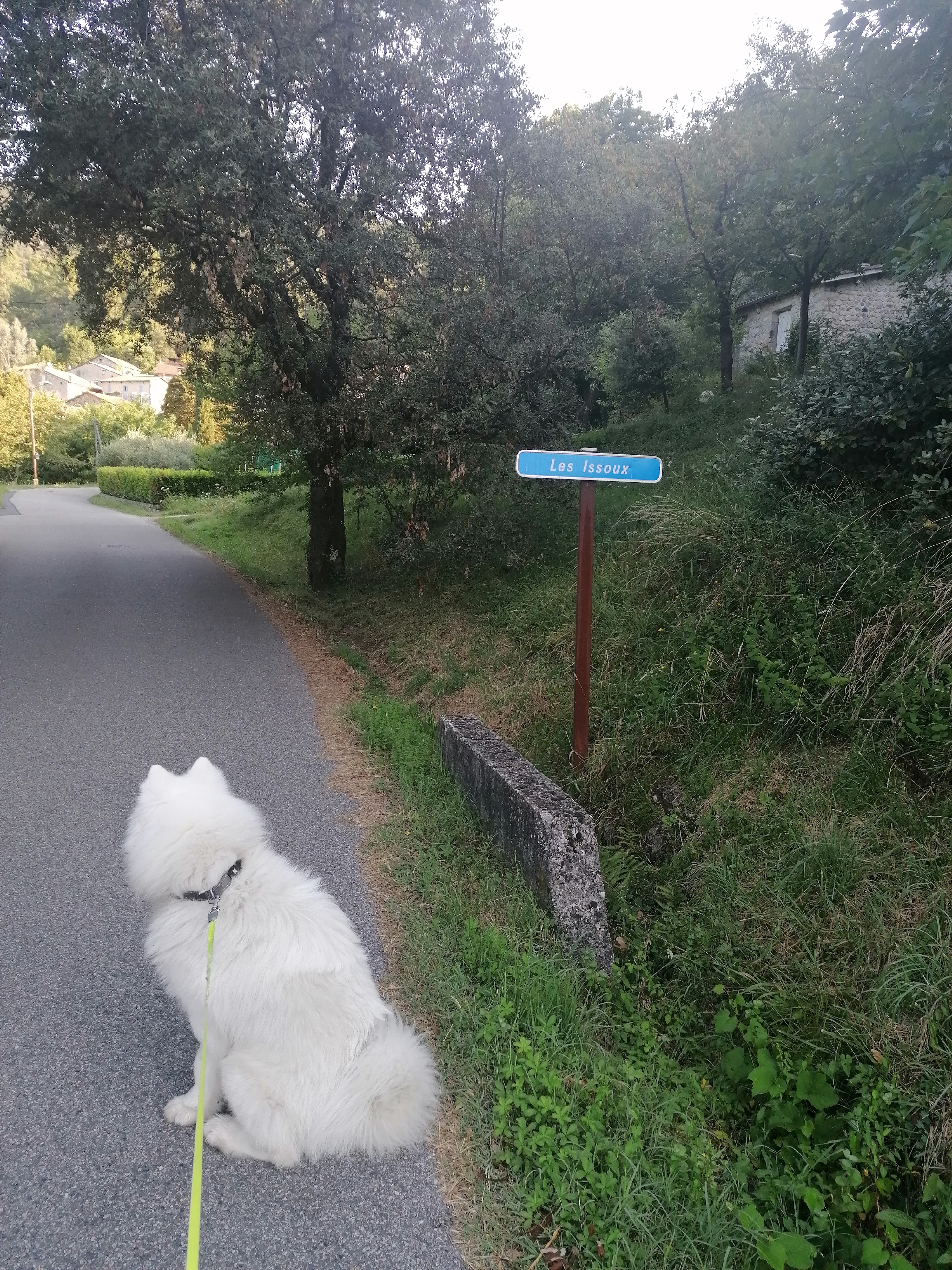 Photo n° 1 de l'avis de Magalie.e fait le 23/08/2021 à 17:13
