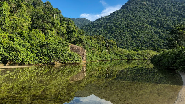 GEORGE OF THE JUNGLE ADVENTURE