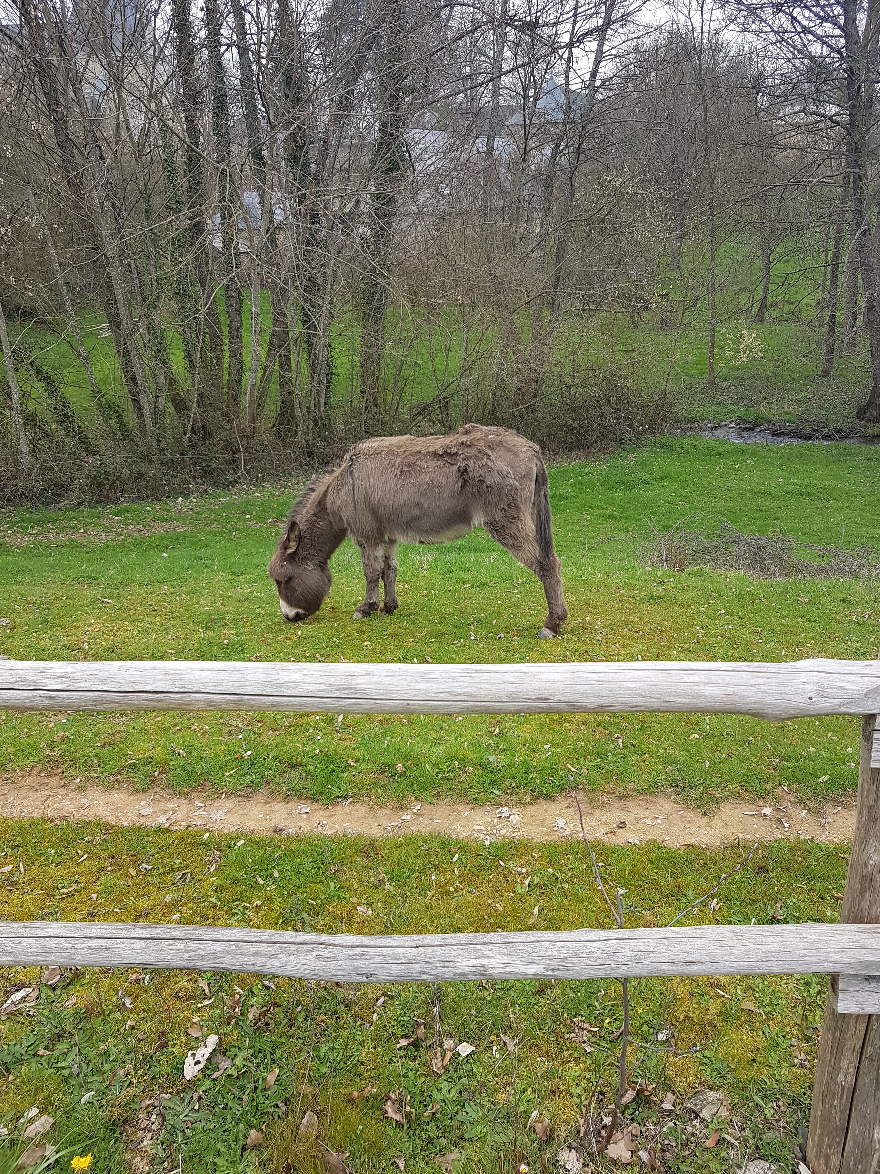 Photo n° 1 de l'avis de Claire.a fait le 24/03/2019 à 14:56