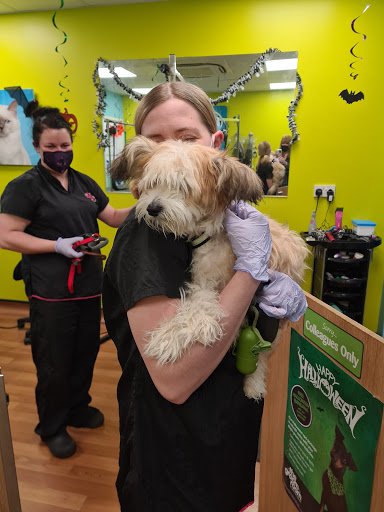 Pets at Home Macclesfield Stoke-on-Trent
