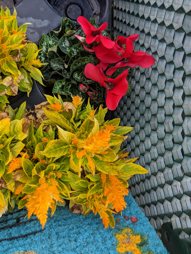 Hardware Store «Orchard Supply Hardware», reviews and photos, 2245 Gellert Blvd, South San Francisco, CA 94080, USA