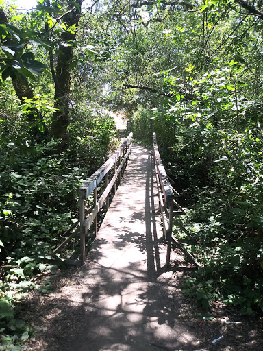 Santa Rosa Creek Trail