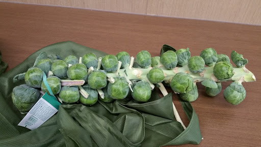 Supermarket «ALDI», reviews and photos, 3701 Commerce Dr, Warsaw, IN 46580, USA