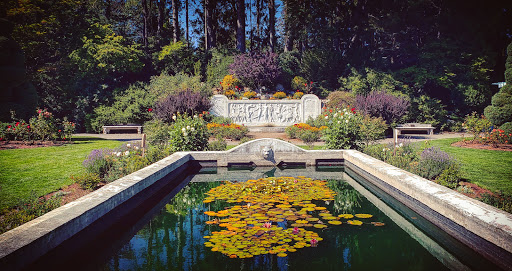 Park «Woodland Park Rose Garden», reviews and photos, 750 N 50th St, Seattle, WA 98103, USA