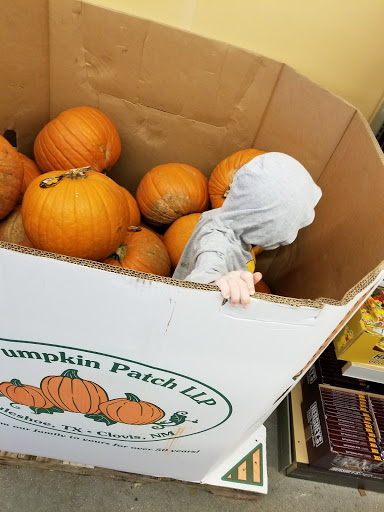 Supermarket «ALDI», reviews and photos, 8537 Davis Blvd, North Richland Hills, TX 76182, USA