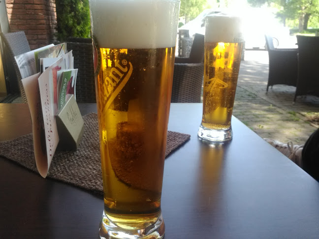 Mládežnícka 331/34, 017 01 Považská Bystrica