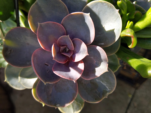 Home Improvement Store «The Home Depot», reviews and photos, 1100 Newport Ave, South Attleboro, MA 02703, USA