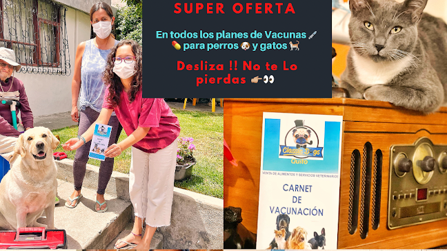Veterinario en casa & Classic Dog Quito