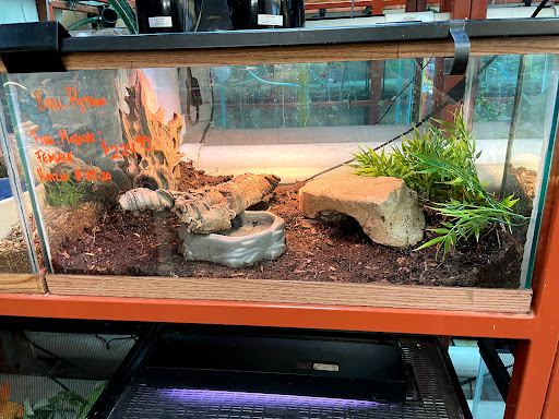 Pet Store «Animal Ark», reviews and photos, 175 S 500 E St, American Fork, UT 84003, USA