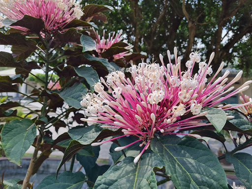 Top 19 hàng rào cửa Huyện Tân Biên Tây Ninh 2022