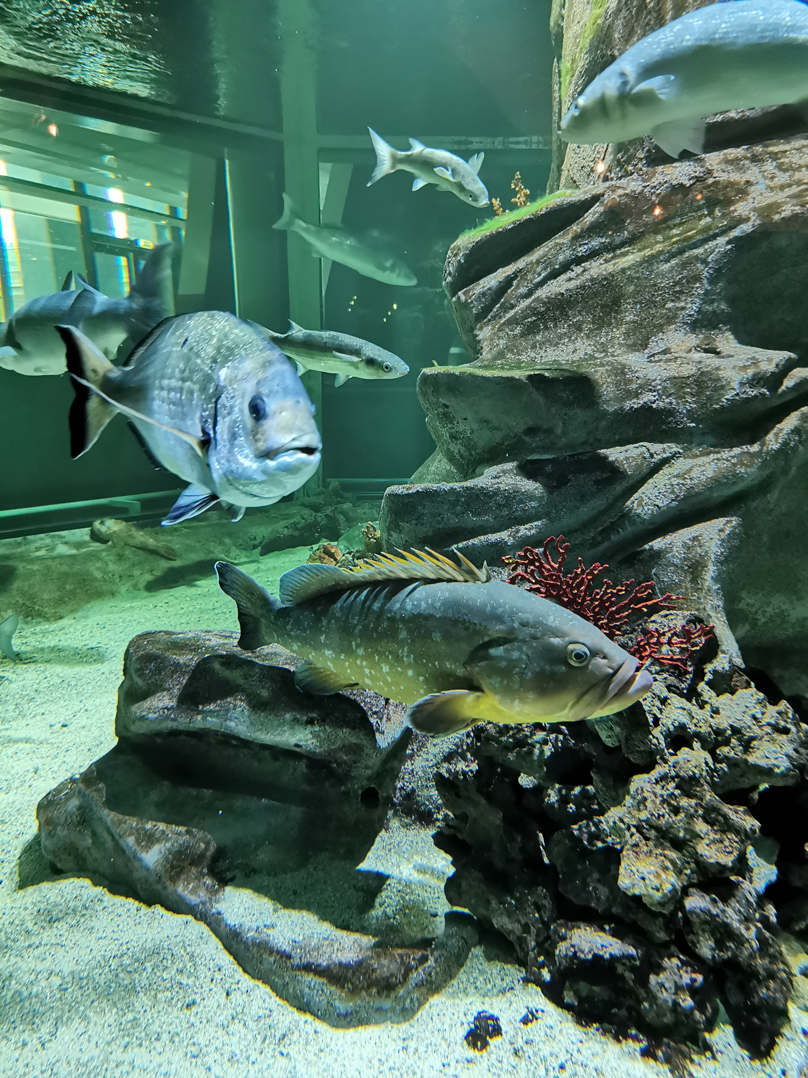 Photo n° 1 de l'avis de Amalia.u fait le 31/10/2023 à 21:08