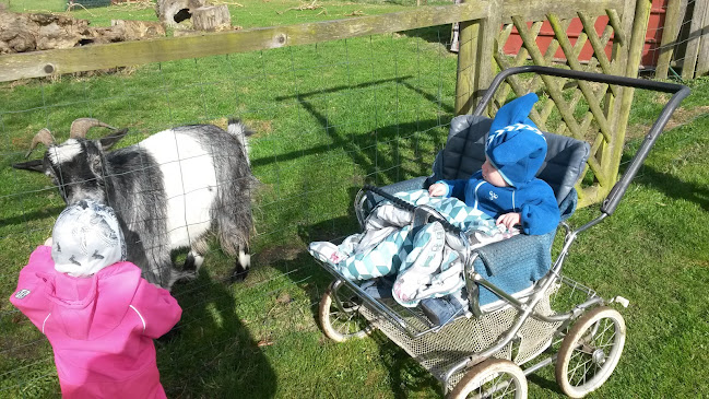 Norup Entreprenør og Vognmand ApS - Din vognmand i Otterup - Byggefirma