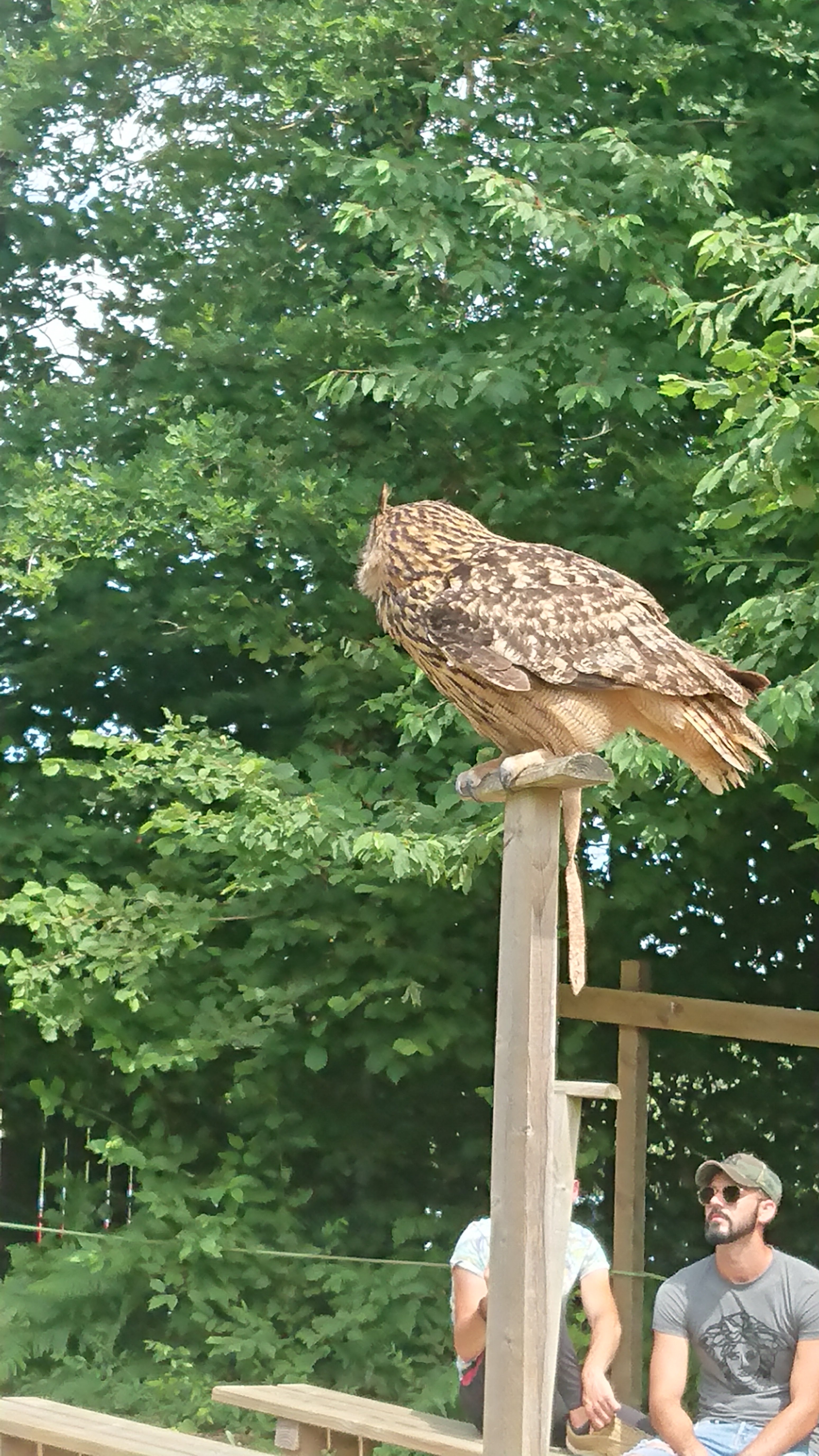 Photo n° 3 de l'avis de Gwendoline.u fait le 30/06/2019 à 20:12