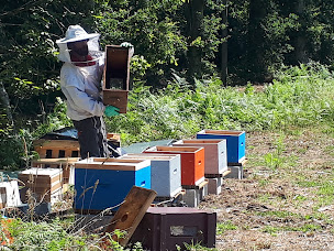 Photo n°5 de PDM Industries - SWM Services à Quimperlé ()