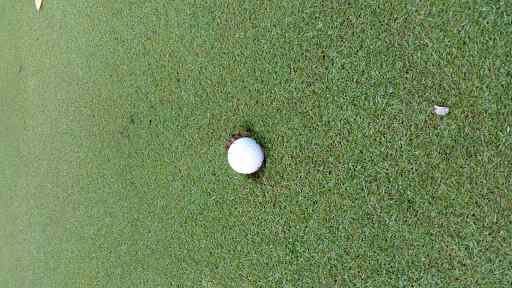 Golf Course «White Oaks Golf Course», reviews and photos, 8480 Sparling Rd, Goodells, MI 48027, USA