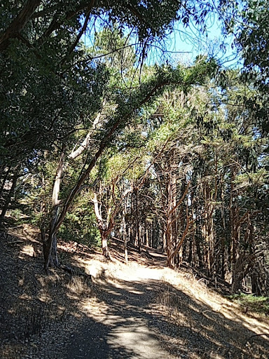 East Coyote Trail