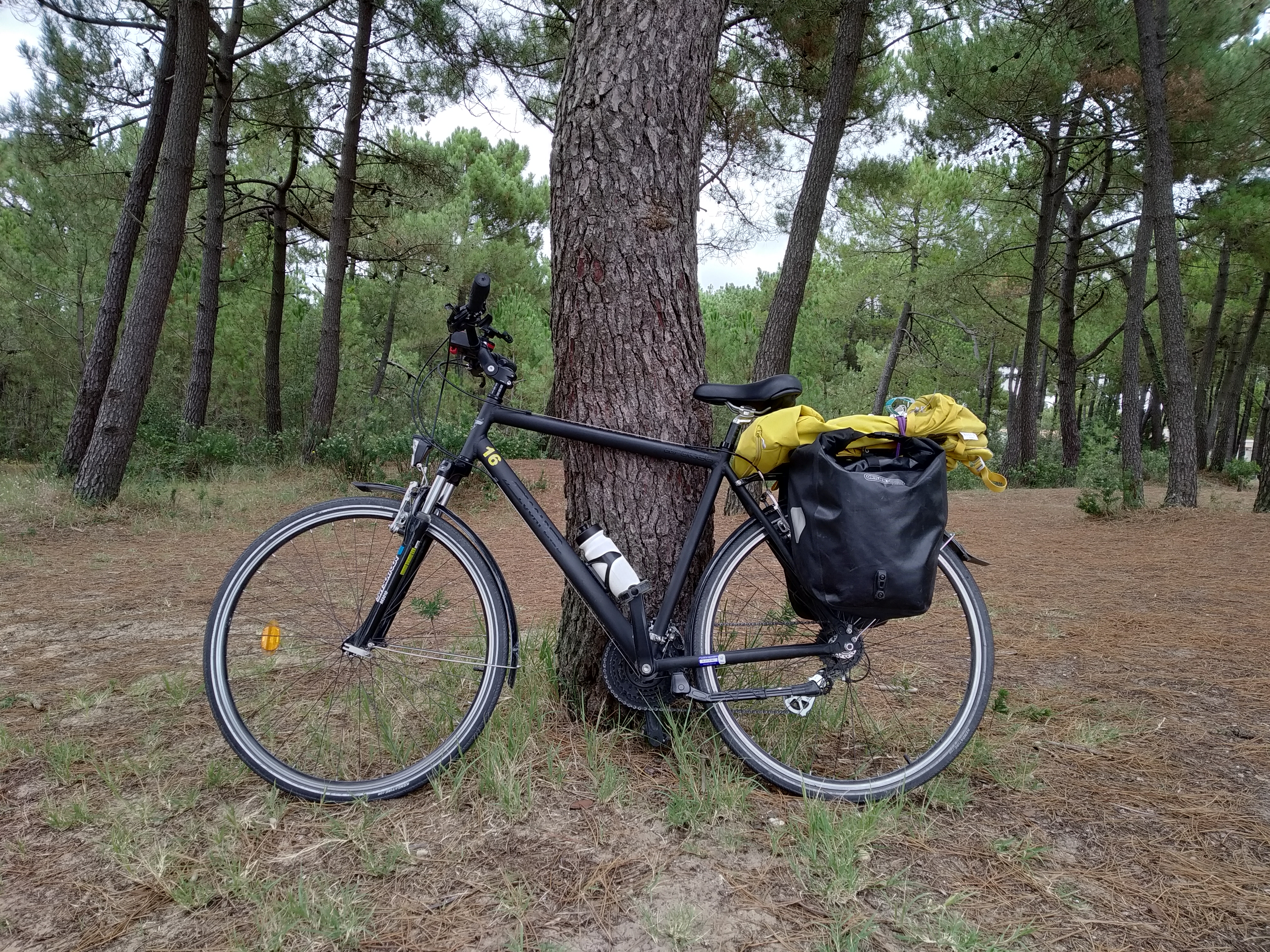 Photo n° 1 de l'avis de Quentin.r fait le 28/08/2021 à 19:35