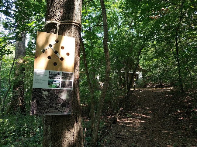 Opinii despre Tilalmas fürdő în Tolcsva - Múzeum