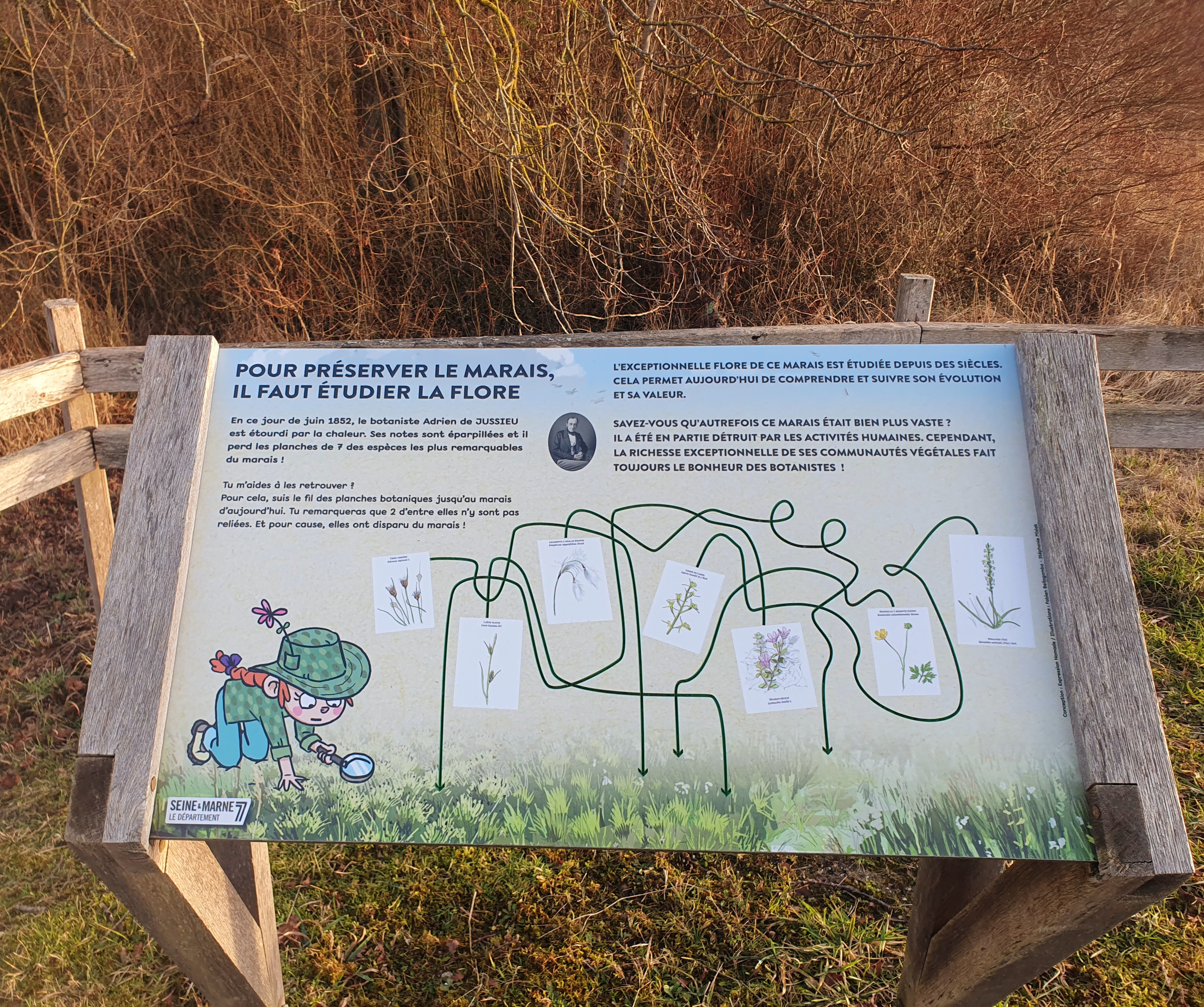 Photo n° 20 de l'avis de Albert.l fait le 27/01/2024 à 21:21