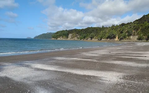 Kaitarakihi Beach image