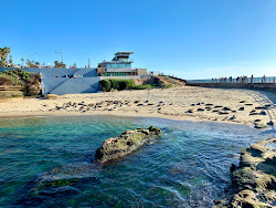 Photo de Children's Pool La Jolla et le règlement