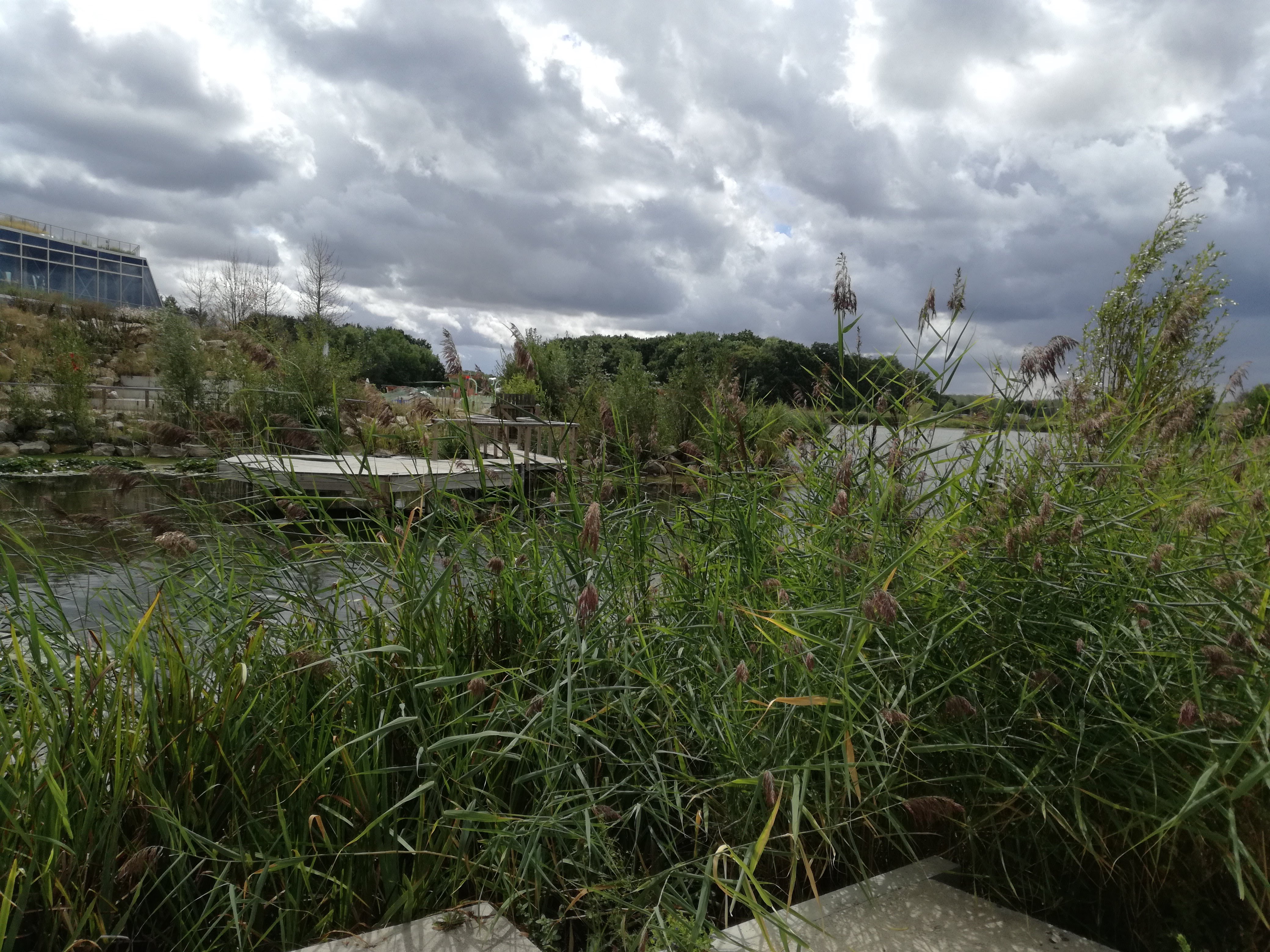 Photo n° 3 de l'avis de Héloïse. fait le 17/08/2020 à 16:25
