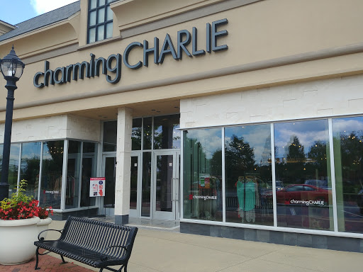 Fashion Accessories Store «Charming Charlie», reviews and photos, 1350 Scenic Hwy S #420, Snellville, GA 30078, USA