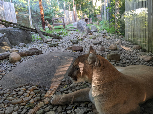 Zoo «WNC Nature Center», reviews and photos, 75 Gashes Creek Rd, Asheville, NC 28805, USA