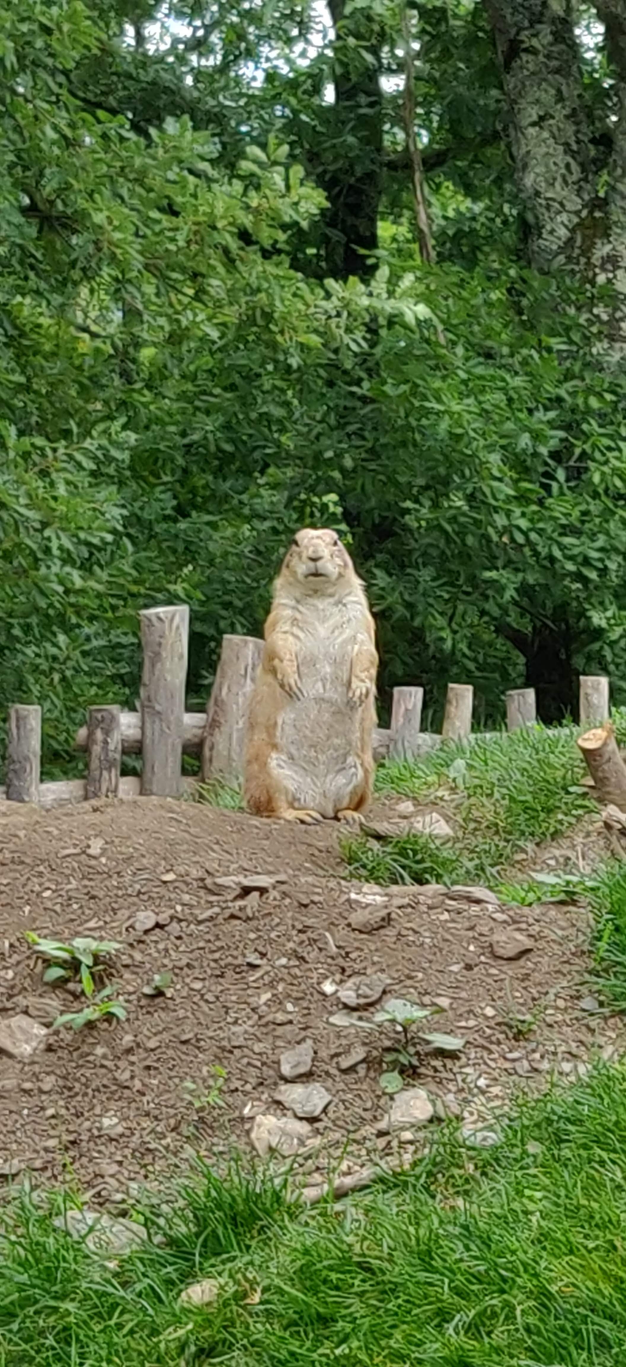 Photo n° 27 de l'avis de Frédéric.o fait le 15/11/2022 à 09:50