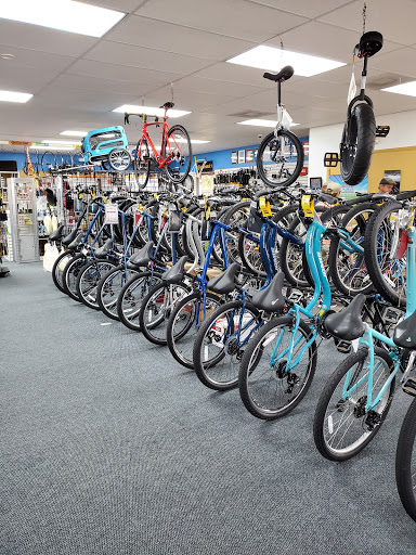 Bicycle Store «Fort Myers Cyclery - Schwinn GT Jamis Colnago», reviews and photos, 3630 S Cleveland Ave, Fort Myers, FL 33901, USA