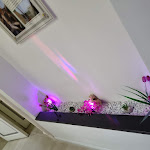 Photo n°8 de l'avis de Michela.r fait le 17/04/2022 à 14:00 sur le  Messina 41 Guest House à Messina