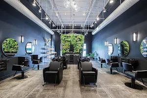 Sunday Salon image