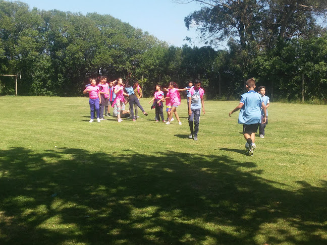 Opiniones de Canchas Misericordistas en Paso Carrasco - Campo de fútbol