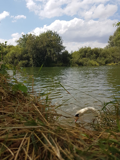 Thames Valley Park Nature Reserve