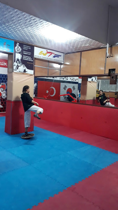 HYDRA taekwondo kickboks cimnastik spor kulübü