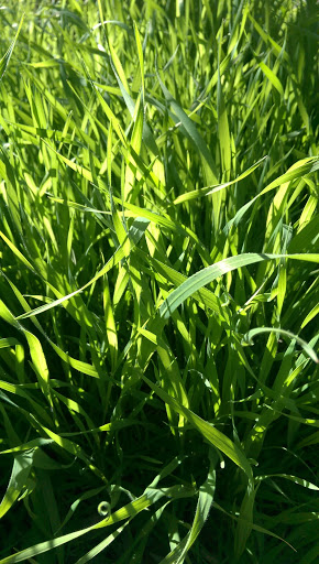 National Park «Montezuma Castle National Monument», reviews and photos, Montezuma Castle Rd, Camp Verde, AZ 86335, USA