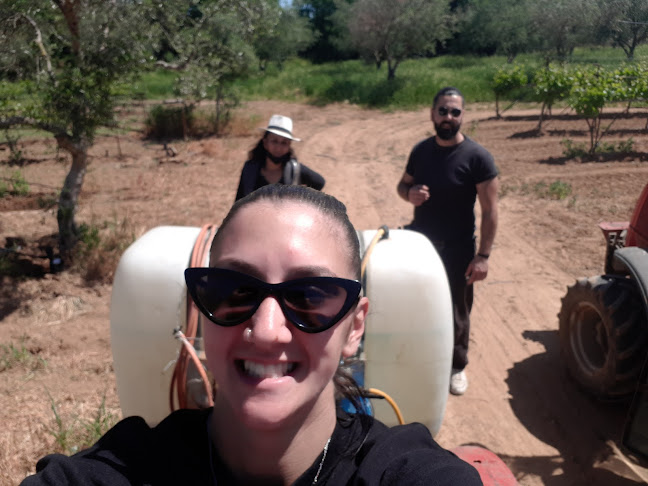 Σαγαίικα 252 00