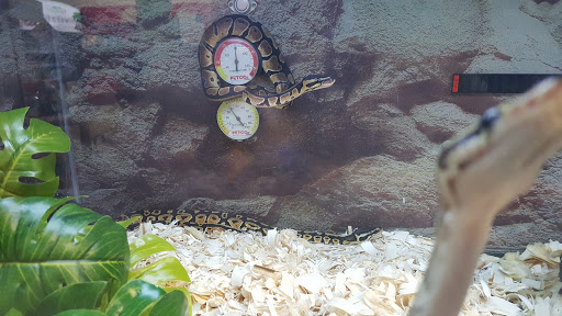 Pet Supply Store «Petco Animal Supplies», reviews and photos, 3790 Burbank Rd, Wooster, OH 44691, USA