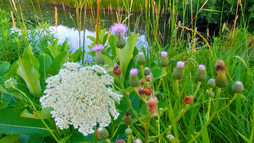 Golf Course «​​​​​Leslie Park Golf Course», reviews and photos, 2120 Traver Rd, Ann Arbor, MI 48105, USA